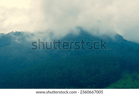 beautiful natural scenery estate cultivation green black herbal hot tea beverage aromatic wallpaper background india Assam Turkish srilanka China mountain hilly terrain tourism valley mist fog