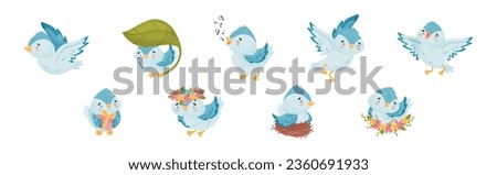 Cute Blue Bird with Wings and Feathers Vector Set