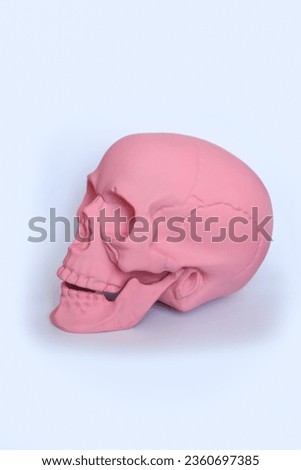 pastel pink skull from side on a white background
