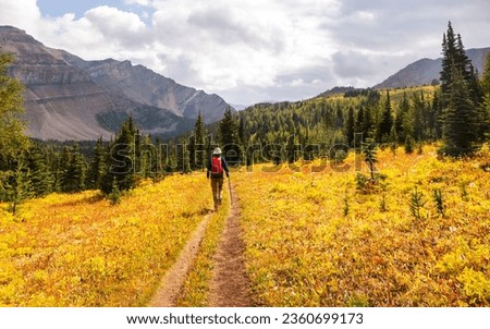 Beautiful autumn season in Canadian mountains. Fall background. Royalty-Free Stock Photo #2360699173