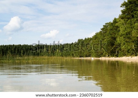 Deserted beautiful beach on the shore of the lake near the pine forest in Royalty-Free Stock Photo #2360702519
