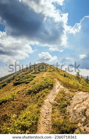 Beautiful view of the Ukrainian Carpathians to the mountains and valleys. Rocky peaks and wood of the Carpathians in late summer. Yellow and green grass, and the top of the mountain and the path to it