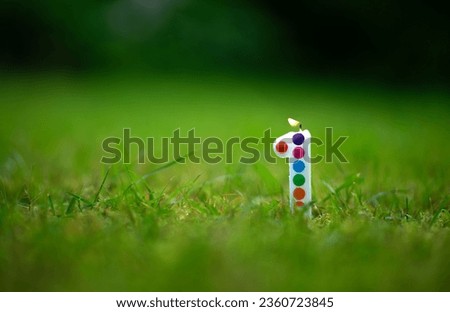 A candle in the shape of the number one is stuck in the green grass. Celebration of one year. The company's first birthday in the fresh air.The year of the company's operation.