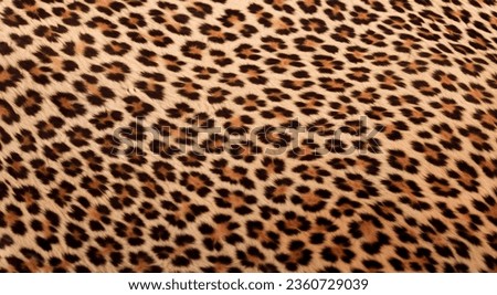 jungle leopard skin texture in high definition and sharpness HD