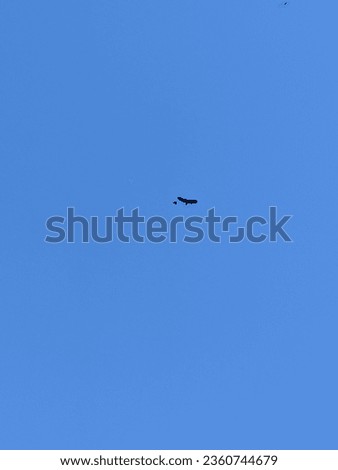 Birds flying in the distance in a bright blue sky