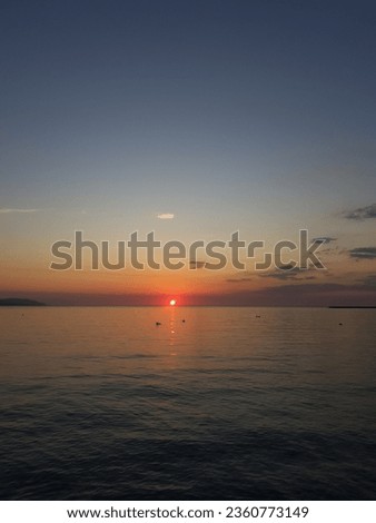 scenery picture of the sunset during summer