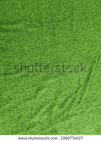 green grass background and texture.