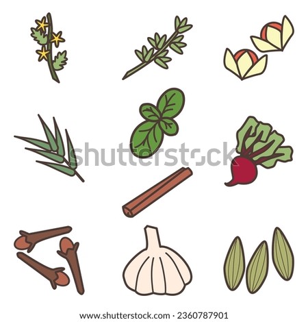 Spices Cute Flat Line Illustration