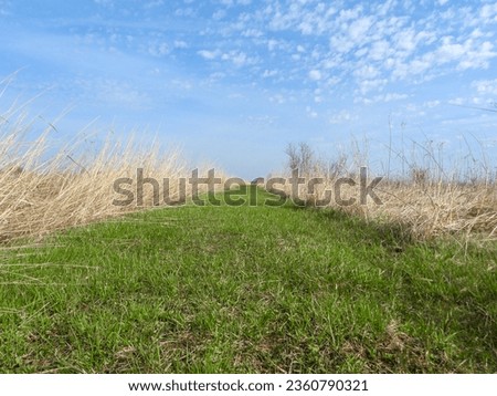 Nature Trail Path with a Blue Sky Background 