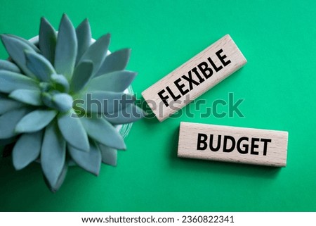 Flexible budget symbol. Concept words Flexible budget on wooden blocks. Beautiful green background with succulent plant. Business and Flexible budget concept. Copy space.