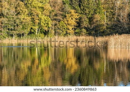 Forest lake with reflections in the water in the fall