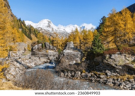Footbridge over a mountain stream in a alps valley in autumn