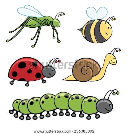 Grasshopper, bumblebee, ladybug, snail and caterpillar.