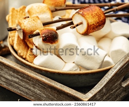cocoa or hot chocolate-and skewers of roasted marshmallows over campfire.........