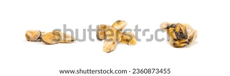 Frozen Mussels Pile Isolated, Unshelled Clam, Frozen Peeled Mussel, Cold Mussels Meat, Iced Seafood, Cooked Shellfish on White Background