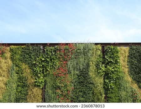 Photo of an old vintage design coffee shop, outdoor wall. Colorful flowers, lush green vines, plants completely covering wall. peaceful postcard background. The sky is cafe intertwined with nature.