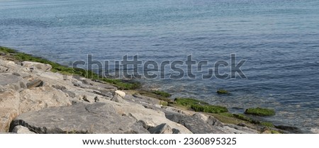 Nature photo taken while walking along the beach promenade in summer. Rocks, stones on the beach, green algae, calm sea, deep blue sky, postcard, peaceful photo of landscape intertwined with nature.