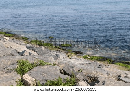 Nature photo taken while walking along the beach promenade in summer. Rocks, stones on the beach, green algae, calm sea, deep blue sky, postcard, peaceful photo of landscape intertwined with nature.