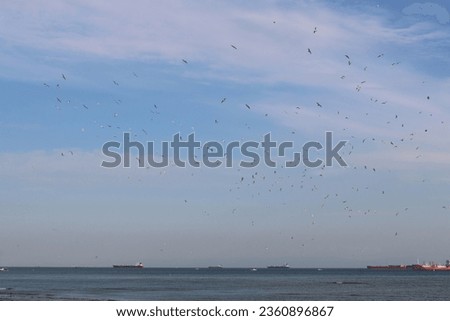 nature photo in summer. Calm sea, deep blue sky, postcard, peaceful photo of landscape intertwined with nature. Ships in the distance, flocks of birds flying, white and pink cotton cumulus clouds.