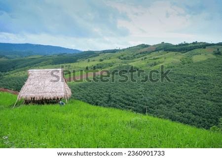 A temporary hut for farming on a mountain.