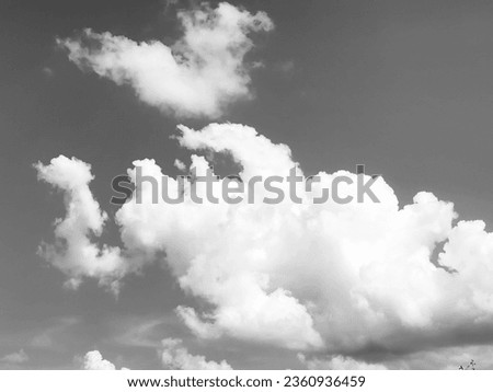 High cumulus clouds paint the sky in monochrome strokes, a celestial canvas of serene grandeur. Nature's whispers echo in their billowy embrace Royalty-Free Stock Photo #2360936459