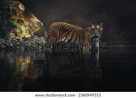 Fine Art portrait picture of "Bengal Tiger", in color with grainy
