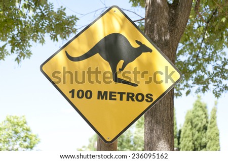 Kangaroo warning traffic sign with a black kangaroo silhouette animal on a yellow background