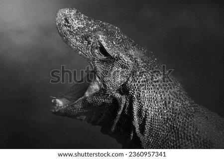 Fine Art portrait picture of "Komodo Dragon", in black and white with grainy