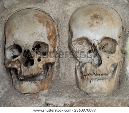 Skull inside of the Skull Tower in Nis, Serbia.human skull.