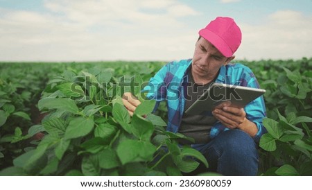 soybean agriculture. farmer working on soybean plantation with digital tablet. business agriculture concept. worker in soybean lifestyle field. soy plant. farmer inspecting soybean crop