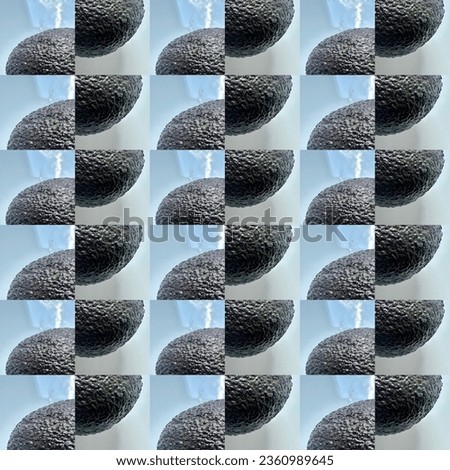 Avocado fruits with shiny black skin are cut into new and interesting patterns.