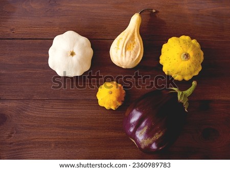 Healthy food from vegetables. Autumn harvest of pumpkins on wooden board. copy space