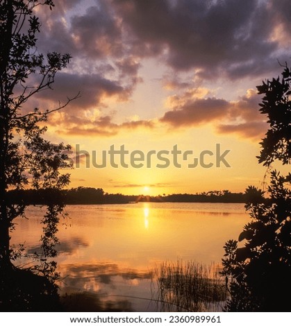 Sunset at Paurodus Pond in the Everglades National Park, Florida, USA, North America