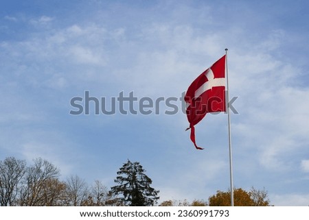 danish flag is waiving in the evening sky