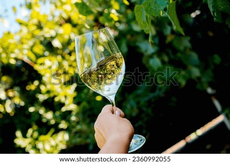 glass with white wine on a wooden barrel in the vineyard. Royalty-Free Stock Photo #2360992055