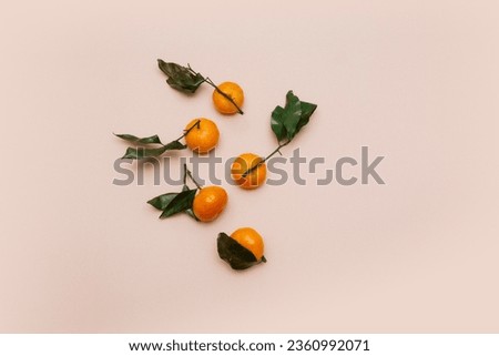Orange tangerines with green leaves, scattered on a beige background. Clementine, mandarin. Top view. Flat lay.