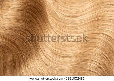 Blond hair close-up as a background. Women's long blonde hair. Beautifully styled wavy shiny curls. Hair coloring. Hairdressing procedures, extension. Royalty-Free Stock Photo #2361002485