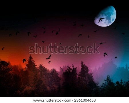silhouette of forest against white sky - foggy dark forest the moon and birds