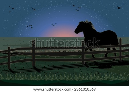 Silhouette of horse grazing in pasture. Night landscape with horse, meadow, fence and sunset starry sky. Evening scene on ranch. Stallion on sunrise background. Equine farm. Stock vector illustration