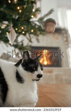Cute cat sitting under stylish christmas tree with vintage baubles on background of burning fireplace. Adorable cat relaxing in christmas festive decorated living room. Pets and winter holidays