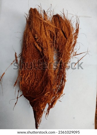 Brown coconut husk fiber
Coconut waste coir pith Royalty-Free Stock Photo #2361029095
