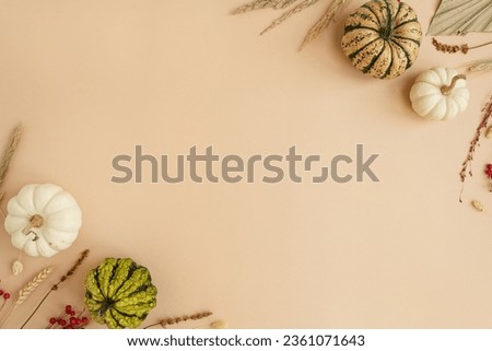 Small decorative pumpkins and dried grass. Autumn, fall, thanksgiving or halloween concept with blank mockup copy space. Flat lay, top view
