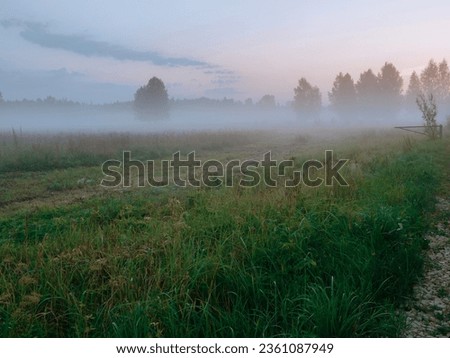 Huge grass field in a Latvian country side in a fog with trees at sunrise. Calm and relaxed atmosphere. Nobody. Agriculture and farming land. Moody nature scenery.