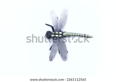 Plastic dragonfly toy isolated on white background. 