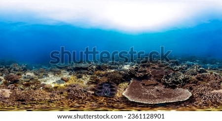 Underwater panorama 360 of coral reef on the red sea under water ocean landscape with colorful tropical fish marine life