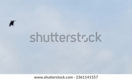 Glimpse blue sky and blur image of a flying Bird 