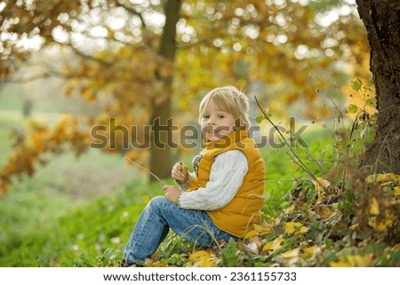 Happy child, playing in autumn park on a sunny day, autumntime