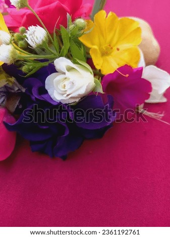 Natural flowers,background flowers, summer color, beautiful pictures with flowers 