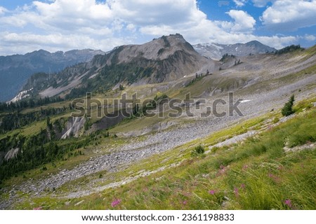 Alpine Wilderness in the Mt. Baker National Forest. Beautiful mountain and forest and valley views along the Ptarmigan Ridge Trail high in the North Cascade mountains of Washington state. Royalty-Free Stock Photo #2361198833
