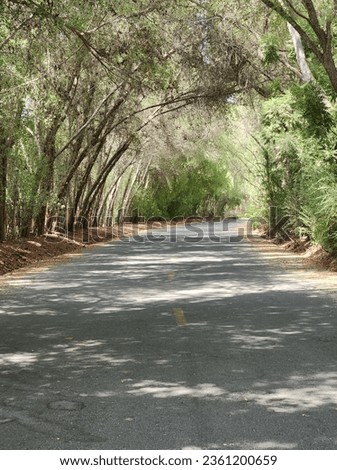  Just took a walk down a picturesque road surrounded by serene trees and lush greenery. The beauty of nature never fails to captivate me. #NatureLover #Landscape #Trees #Serene Royalty-Free Stock Photo #2361200659